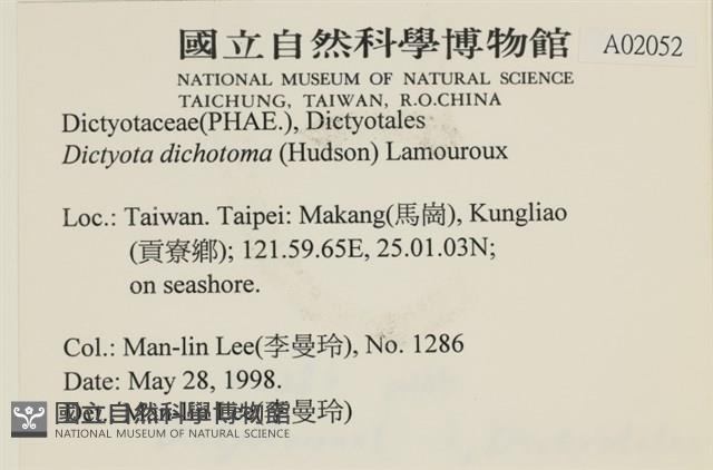 網目藻藏品圖，第2張