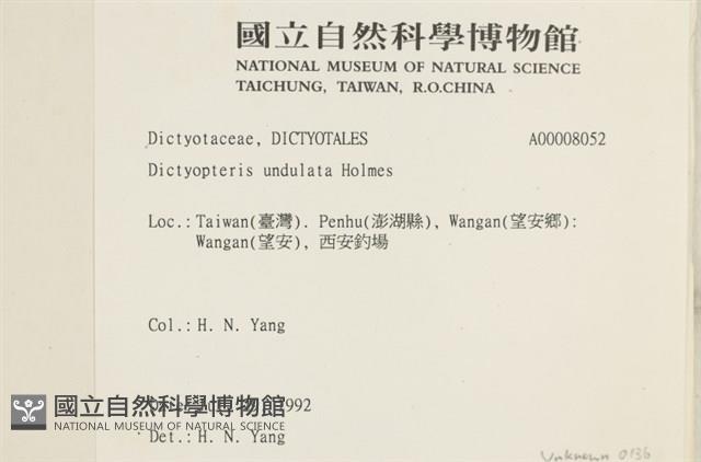 登錄號:A00008052藏品圖，第2張