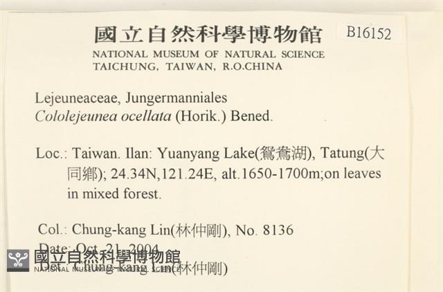 登錄號:B00016152藏品圖，第2張