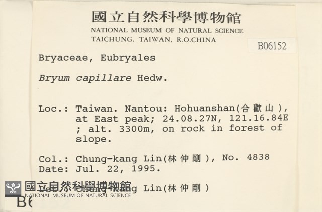 細葉真蘚藏品圖，第2張