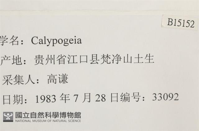 登錄號:B00015152藏品圖，第2張