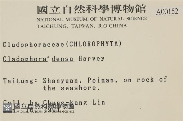 登錄號:A00000152藏品圖，第2張