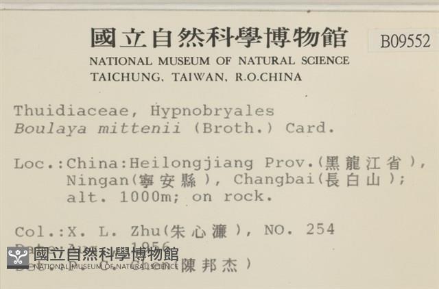 蟲毛蘚藏品圖，第2張