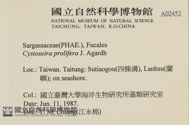 登錄號:A00002452藏品圖，第2張