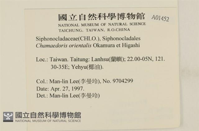 登錄號:A00001452藏品圖，第2張