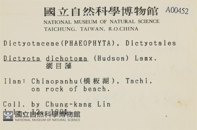 網目藻藏品圖，第2張