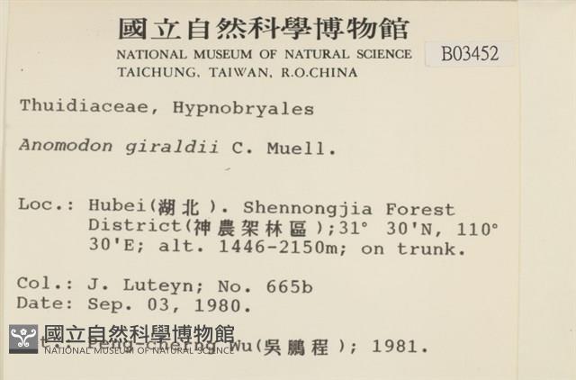 登錄號:B00003452藏品圖，第2張