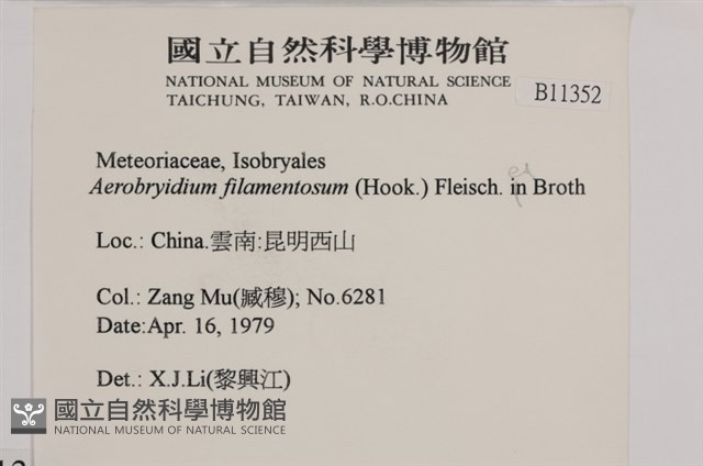 毛扭蘚藏品圖，第2張