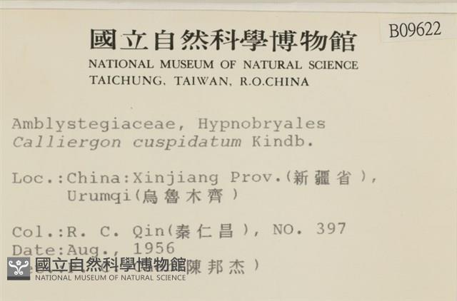 登錄號:B00009622藏品圖，第2張