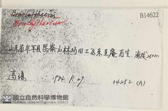 登錄號:B00014622藏品圖，第2張