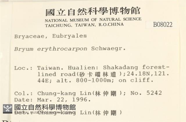 登錄號:B00008022藏品圖，第2張