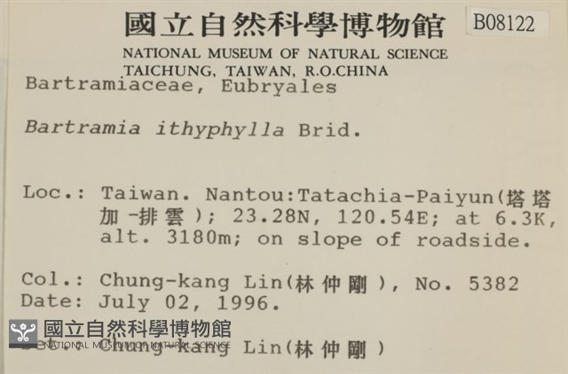 直葉珠蘚藏品圖，第2張