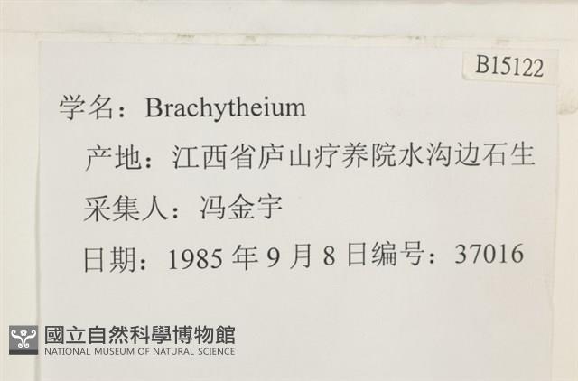 登錄號:B00015122藏品圖，第2張