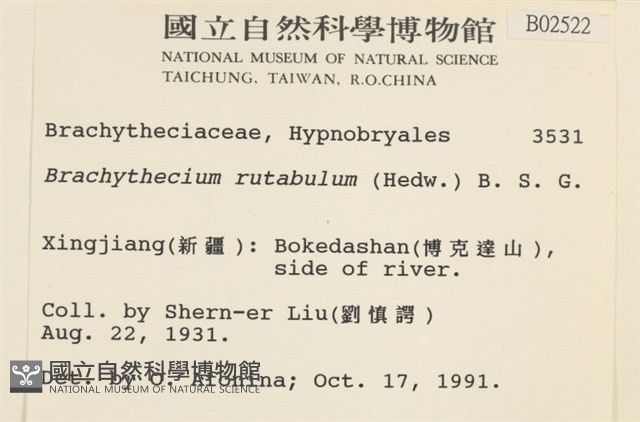 卵葉青蘚藏品圖，第2張