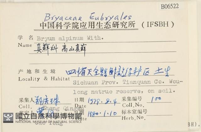 高山真蘚藏品圖，第2張