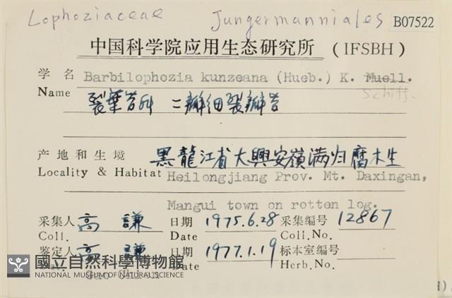 三瓣細裂瓣苔藏品圖，第2張