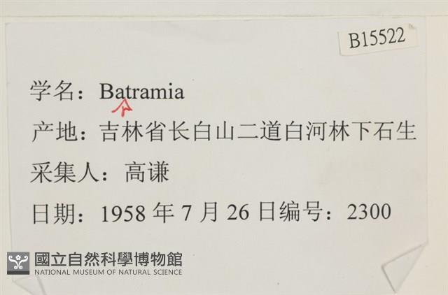 登錄號:B00015522藏品圖，第2張