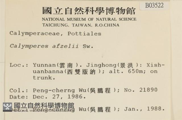 登錄號:B00003522藏品圖，第2張