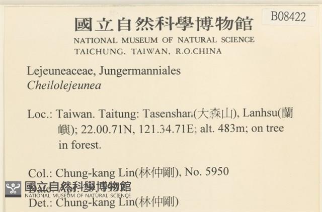 登錄號:B00008422藏品圖，第2張