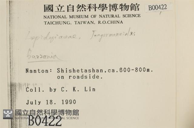 登錄號:B00000422藏品圖，第2張