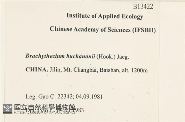 細枝青蘚藏品圖，第2張