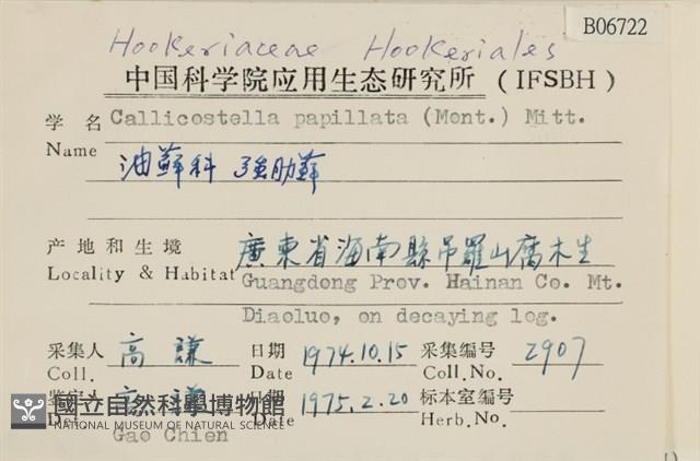 強肋蘚藏品圖，第2張