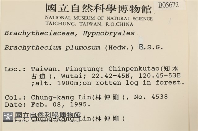 羽枝青蘚藏品圖，第2張