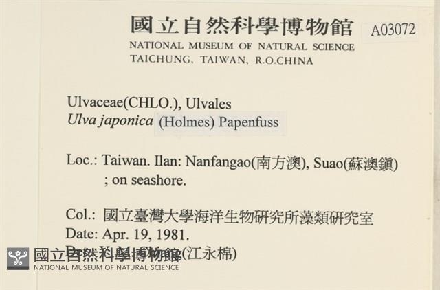 登錄號:A00003072藏品圖，第2張