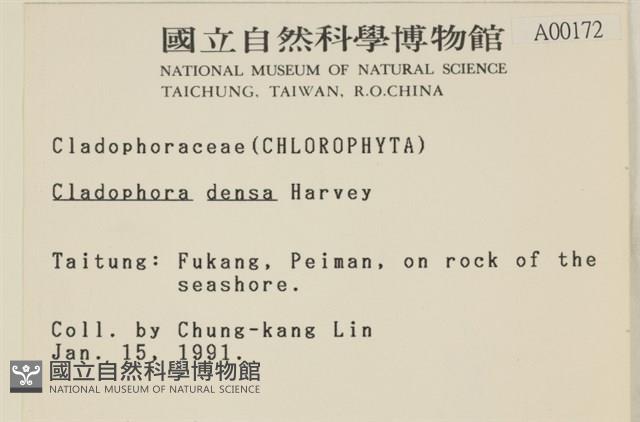 登錄號:A00000172藏品圖，第2張