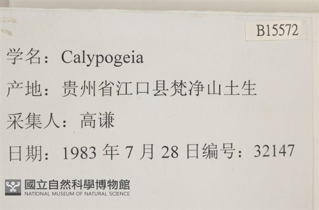 登錄號:B00015572藏品圖，第2張