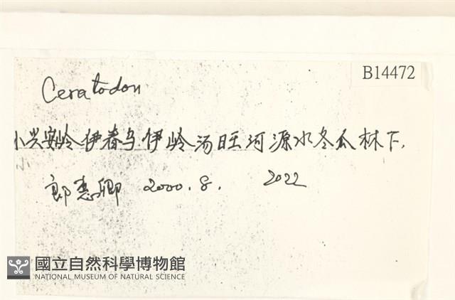 登錄號:B00014472藏品圖，第2張