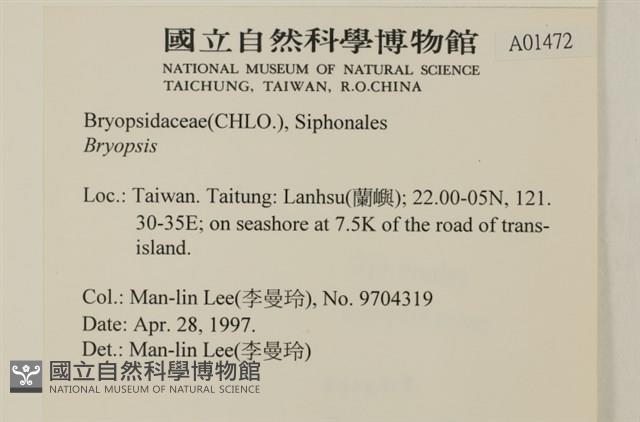 登錄號:A00001472藏品圖，第2張