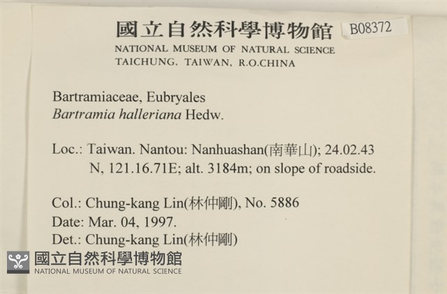 登錄號:B00008372藏品圖，第2張