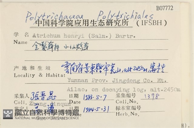 小仙鶴蘚藏品圖，第2張