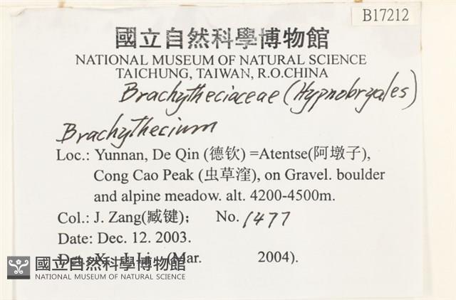 登錄號:B00017212藏品圖，第2張
