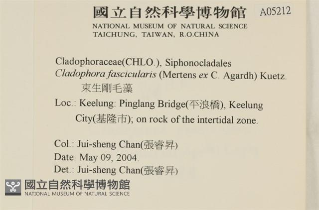 登錄號:A00005212藏品圖，第2張