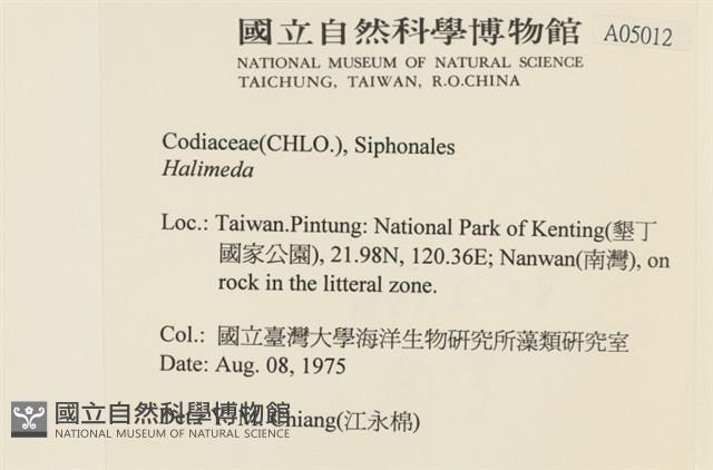 登錄號:A00005012藏品圖，第2張