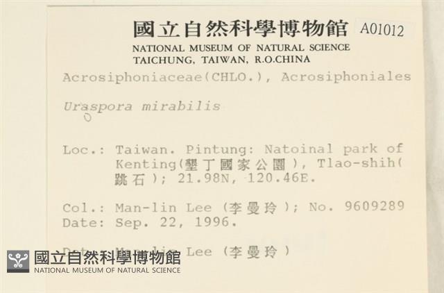登錄號:A00001012藏品圖，第2張
