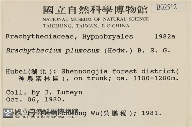 羽枝青蘚藏品圖，第2張