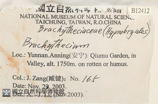 登錄號:B00012412藏品圖，第2張