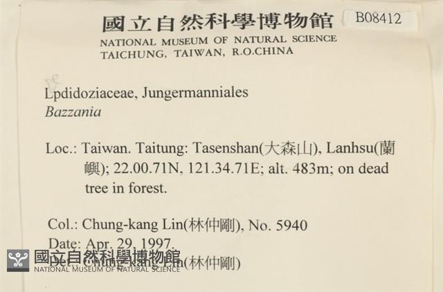 登錄號:B00008412藏品圖，第2張