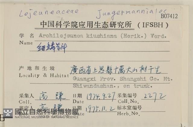 細鱗苔藏品圖，第2張