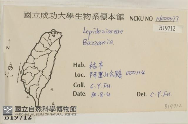 登錄號:B00019712藏品圖，第2張