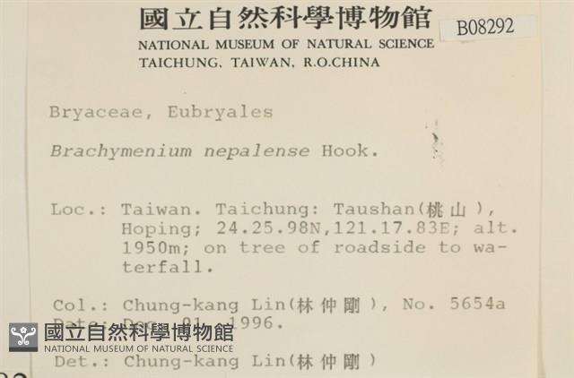 那霸短月蘚藏品圖，第2張