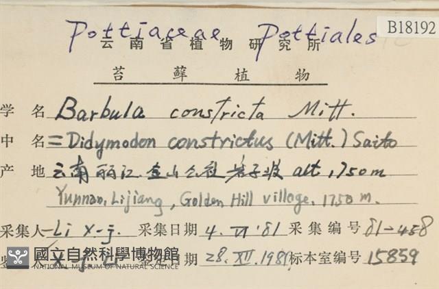 尖葉扭口蘚藏品圖，第2張