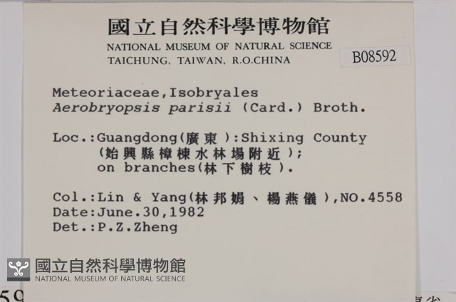 登錄號:B00008592藏品圖，第2張