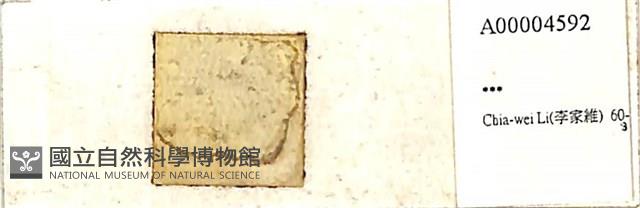 登錄號:A00004592藏品圖，第1張