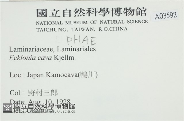 登錄號:A00003592藏品圖，第2張
