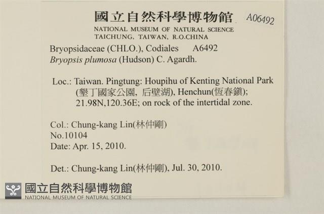 登錄號:A00006492藏品圖，第2張