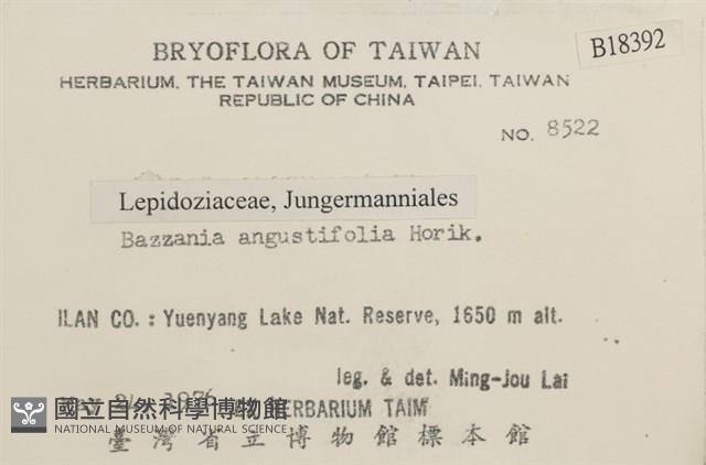 登錄號:B00018392藏品圖，第2張
